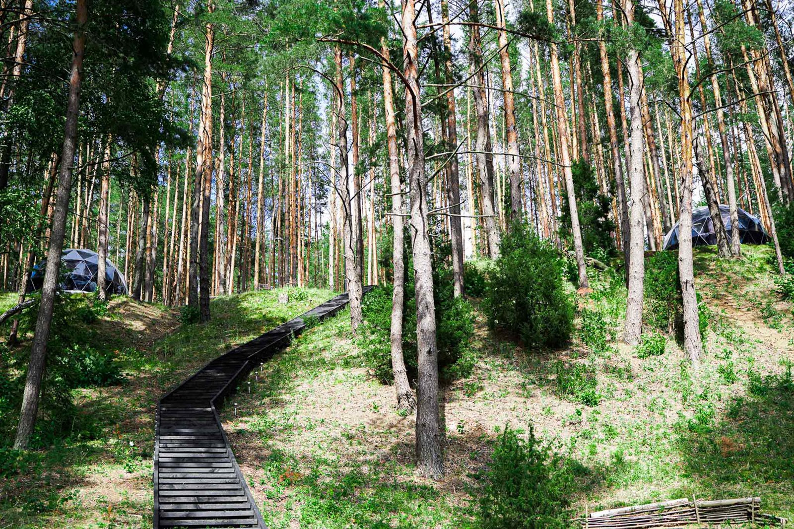 glamping kupolai