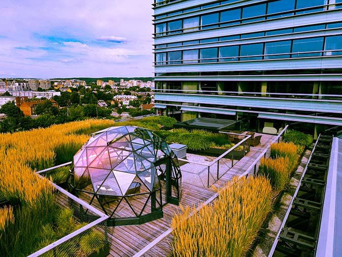 glass dome 